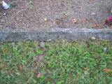 image of grave number 444537